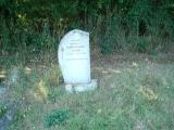 image of grave number 336551